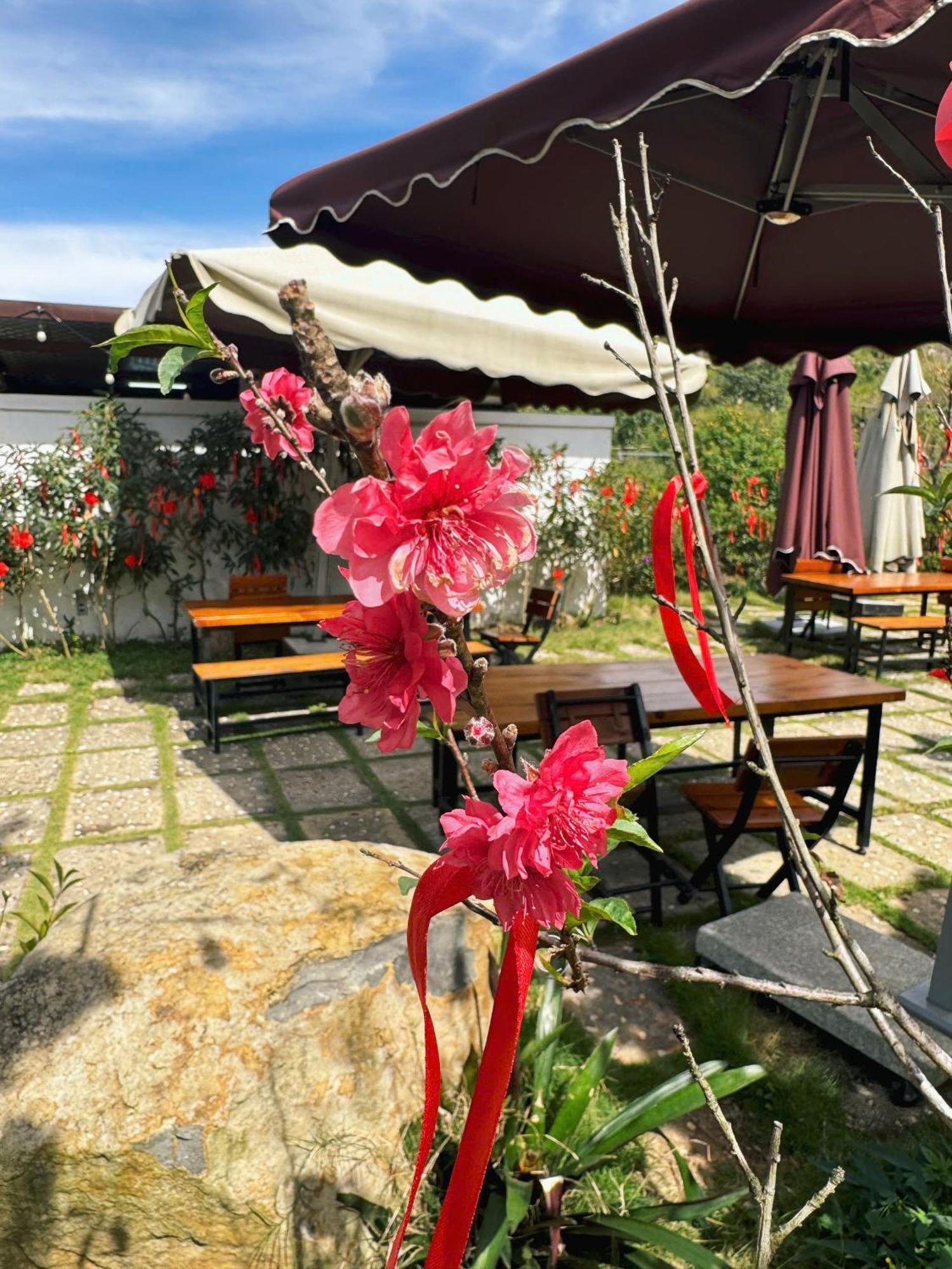 Greeneco Da Lat Hotel - Khach San Green Eco Νταλάτ Εξωτερικό φωτογραφία
