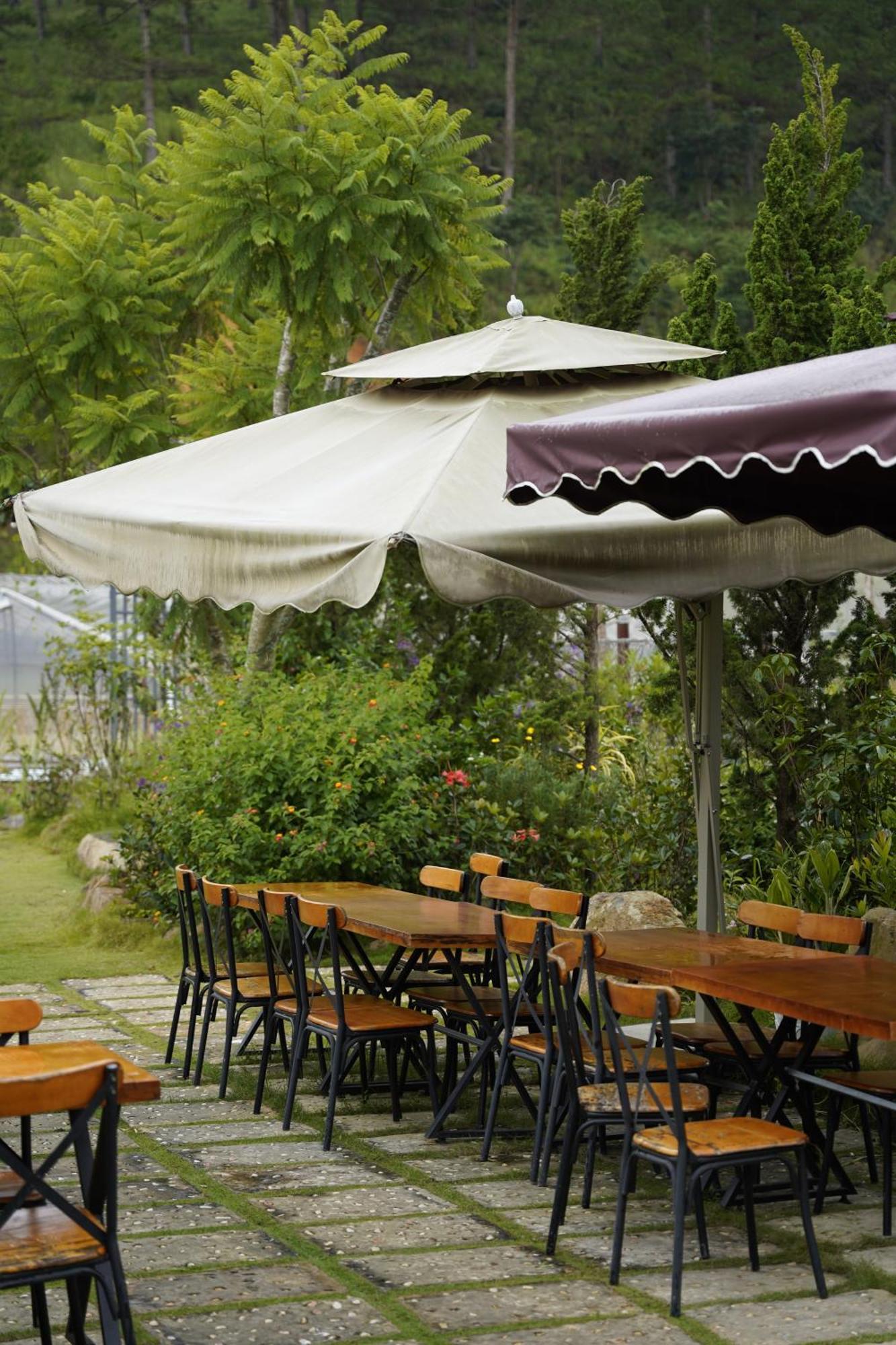 Greeneco Da Lat Hotel - Khach San Green Eco Νταλάτ Εξωτερικό φωτογραφία