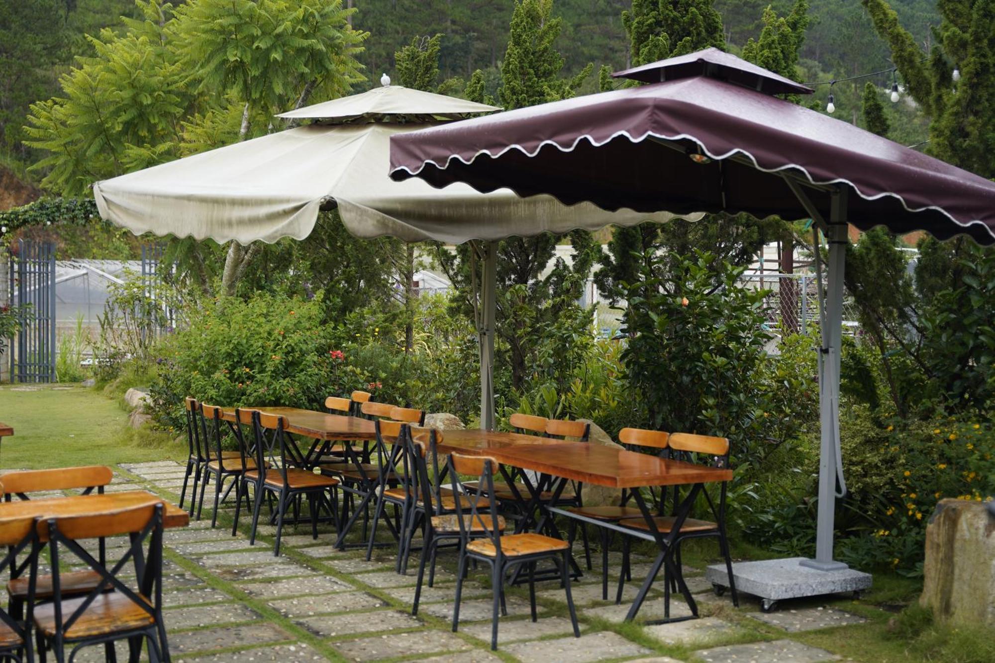 Greeneco Da Lat Hotel - Khach San Green Eco Νταλάτ Εξωτερικό φωτογραφία